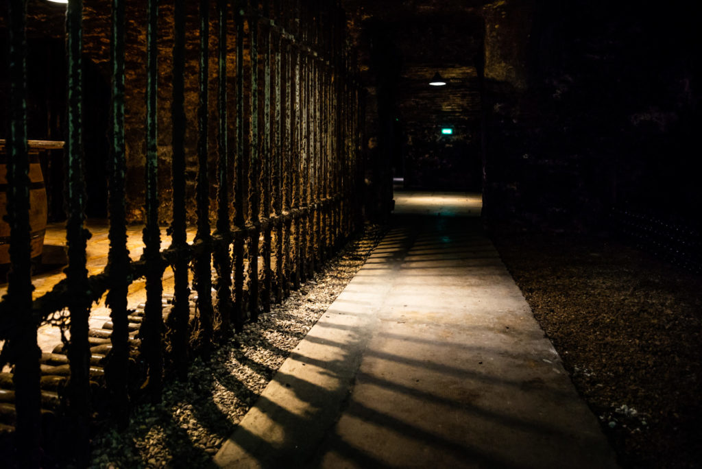 into the cellar of Burgundy